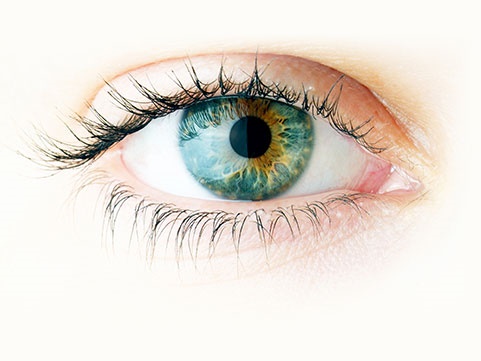 eye eye