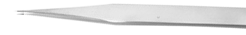 pinzeta pinzeta